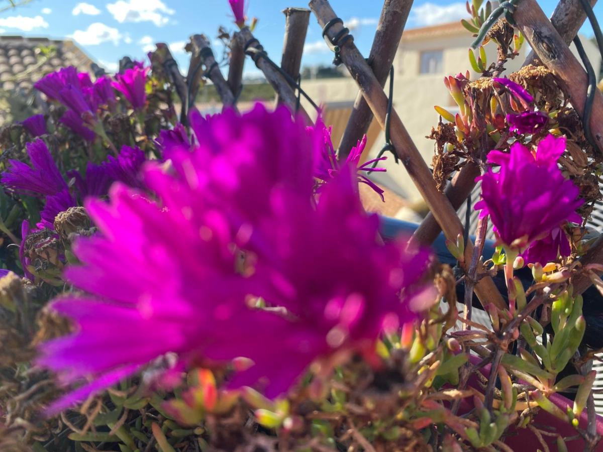 Sol Mediterraneo Algarrobo Zewnętrze zdjęcie